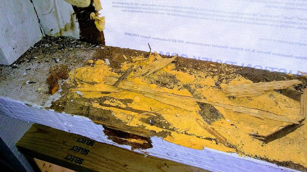 dry rotted ledger board
