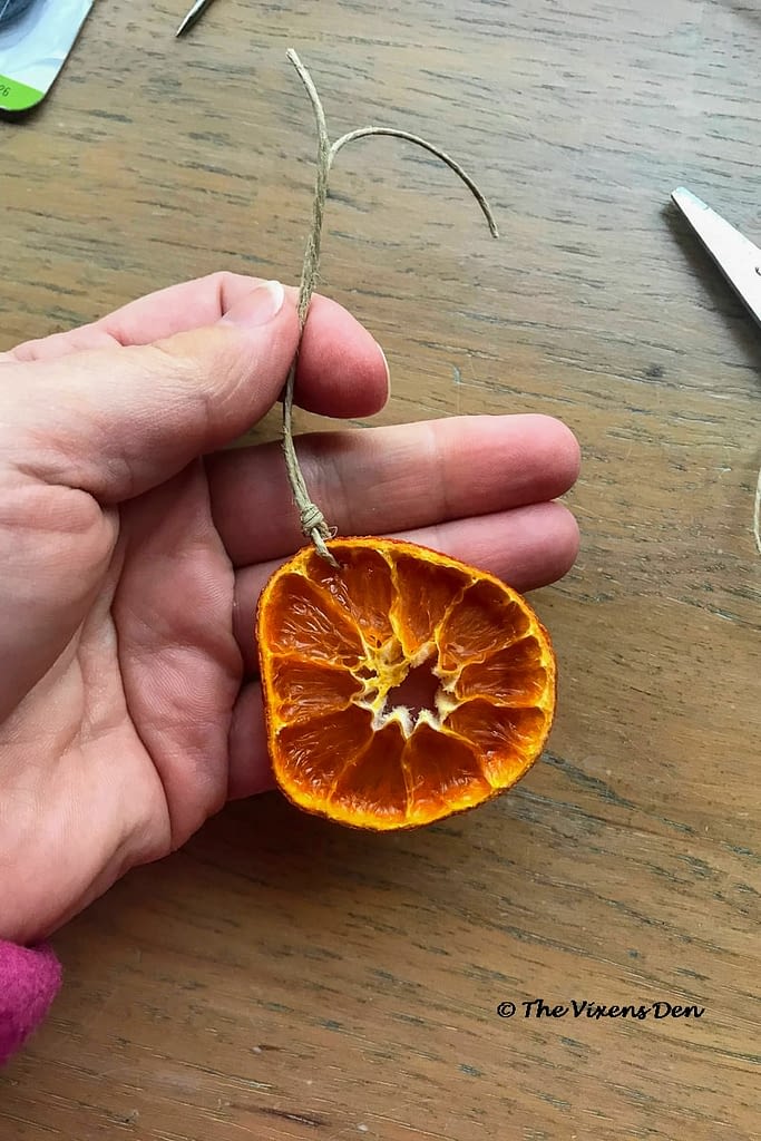 a dried orange slice strung on hemp cord with both knots tied
