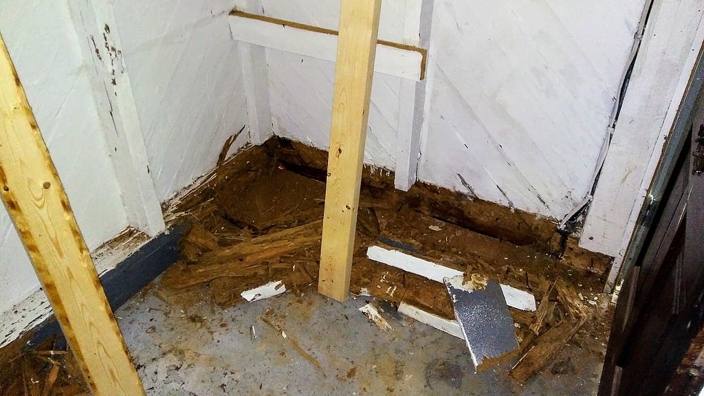 interior view of termite damage to mudsill and wall supports